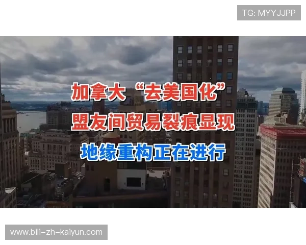北美“归国者”战术:推理加拿大与美国如何利用移民红利重构战斗力。 北美“归国者”战术:推理加拿大与美国如何利用移民红利重构战斗力。